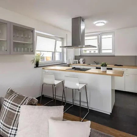 Stadthaus Neckarsulm Serviced - Penthouse Erlenbach Апартаменты Erlenbach (Heilbronn)